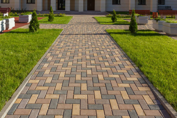 Best Driveway Paving Contractor  in Privateer, SC